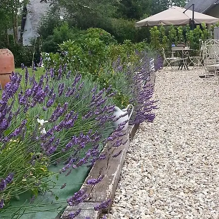 Bed & Breakfast - Le Clos Aux Masques Saint-Pierre-Azif