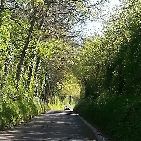 - Le Clos Aux Masques 3*