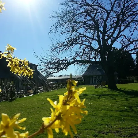 - Le Clos Aux Masques