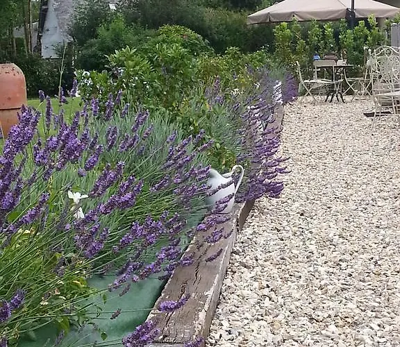 לינה וארוחת בוקר - Le Clos Aux Masques Saint-Pierre-Azif