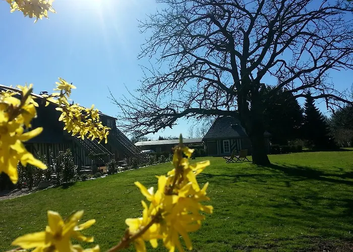 - Le Clos Aux Masques